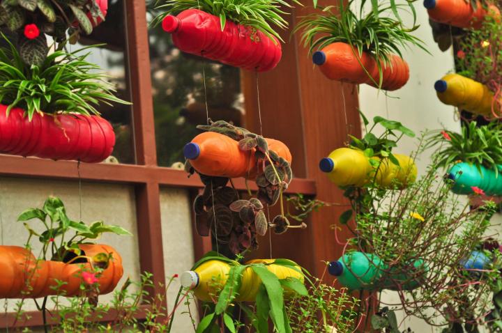 Recycled plastic bottles used as planters